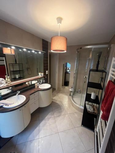une grande salle de bain avec deux lavabos et une douche dans l'établissement Résidence Aquarelle, appartement spacieux et chaleureux, grande terrasse, à Besançon