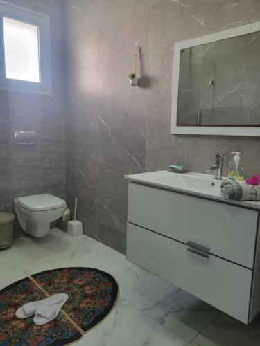 DjerbaにあるSuperbe villa Dawsser avec piscine sans aucun vis à visの洗面台、トイレ、鏡のあるバスルーム