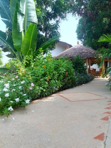Κήπος έξω από το Le jardin de Adja