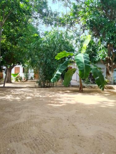 Κήπος έξω από το Le jardin de Adja