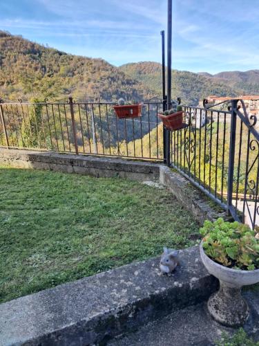 a cat laying on the grass next to a fence at Casa Vacanza Margherita in Minucciano