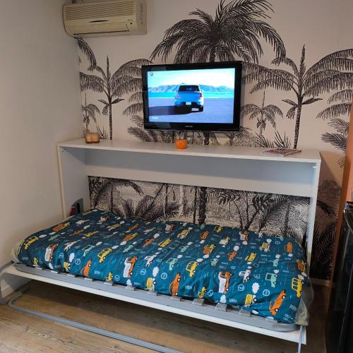 une chambre avec un lit et une télévision sur un mur dans l'établissement Le petit Barcarès, au Barcarès