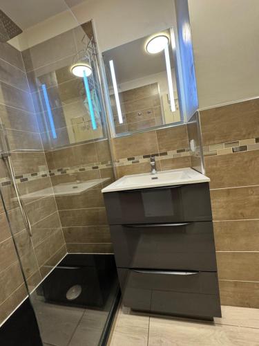 une salle de bain avec un lavabo et une douche dans l'établissement appartement proche de la mer, à Cannes