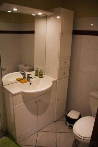 une salle de bain avec un lavabo et des toilettes dans l'établissement Appartement T2 - Centre Lélex, à Lélex