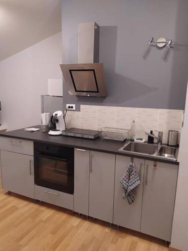 une cuisine avec un évier et un plan de travail dans l'établissement appartement neuf au calme, à Sainte-Croix