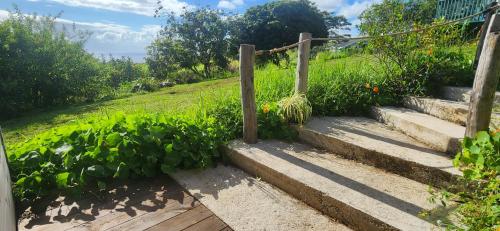 Gallery image of Sunrise Farm Cottage II - 180 Degree OceanViews Stargazing Whale Watching on Hamakua Coast Hawaii in Papaaloa