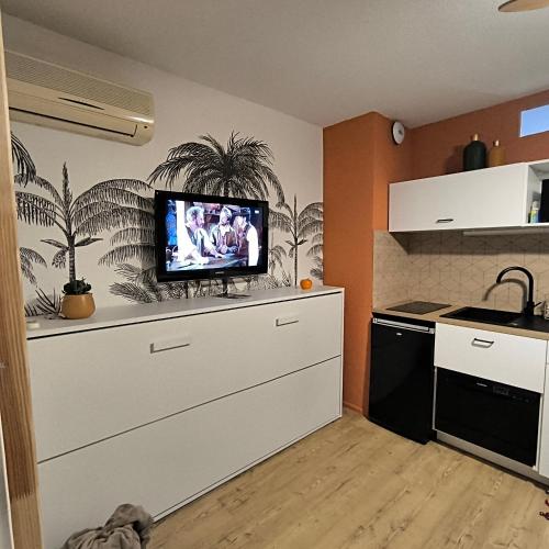 une cuisine avec une télévision à écran plat au-dessus d'une armoire dans l'établissement Le petit Barcarès, au Barcarès