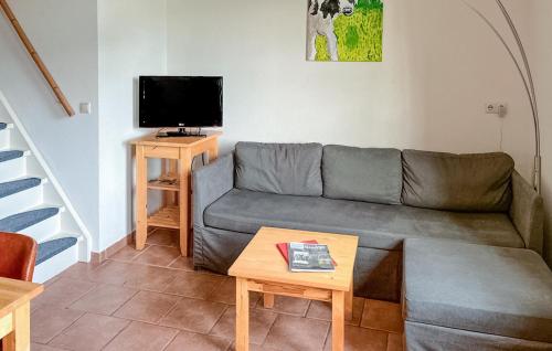 a living room with a couch and a tv at Amazing Home In De Moer in De Moer