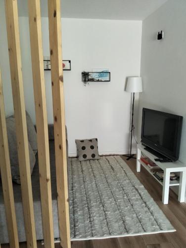 a living room with a bed and a television at Casa do Passal in Belinho