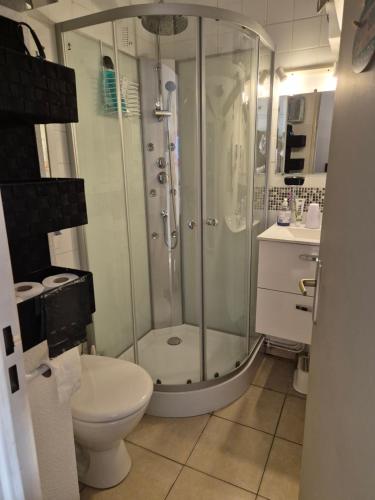 ein Badezimmer mit Dusche und Toilette in der Unterkunft Havre de paix appart climatisé,piscine,wifi in Le Barcarès