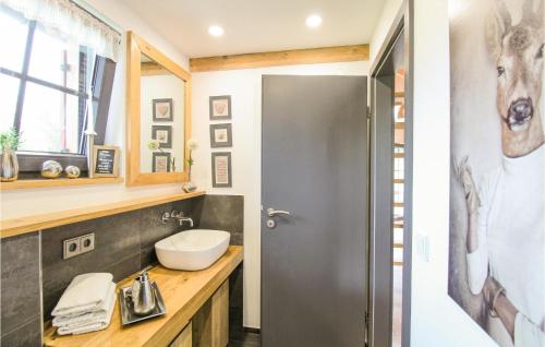 Dapur atau dapur kecil di Schoorenmoos Lodge