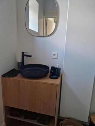lavabo en el baño con espejo encima de un tocador en De Mispel, en Groot Schaddeken Dries