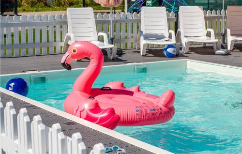 einen rosa aufblasbaren Flamingo in einem Pool in der Unterkunft 2 Bedroom Nice Home In Bobolin in Bobolin