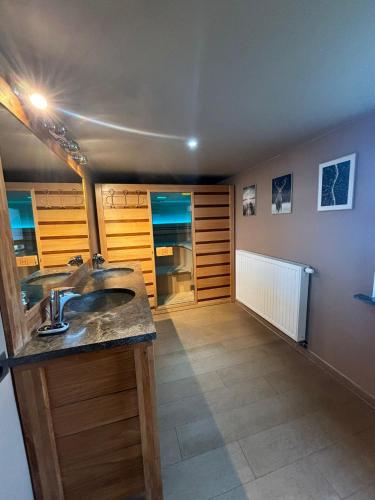 a bathroom with a sink and a shower at La Maison Calestienne in Han-sur-Lesse