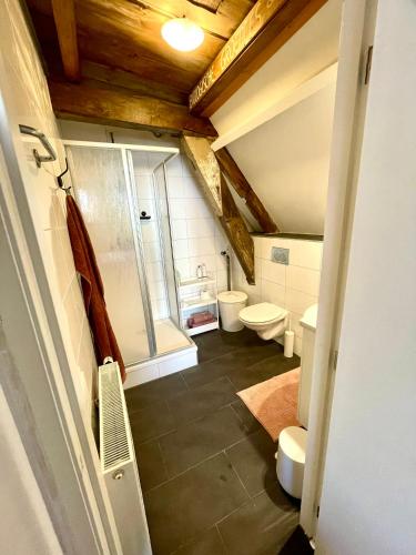 a bathroom with two toilets and a walk in shower at Appartement Zeezicht in Leeuwarden