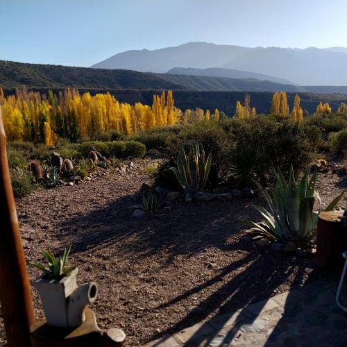 a view from the porch of a garden with cactus at Cabaña La Mostacita - Complejo El Taller in Potrerillos