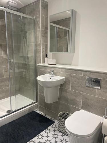 a bathroom with a toilet and a sink and a shower at The Duplex at Sophia Mews with free parking in Cardiff