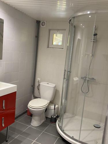 une salle de bain avec toilettes et douche dans l'établissement Havre de paix ! Appartement privatif avec jardin, à Auch