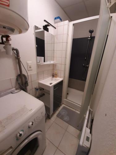 a small bathroom with a washing machine and a sink at F2 lumineux en centre ville - Gerardmer in Gérardmer