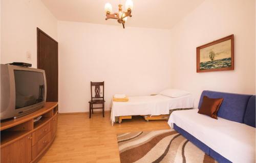 TV a/nebo společenská místnost v ubytování Cozy Apartment In Vlasici With Wifi
