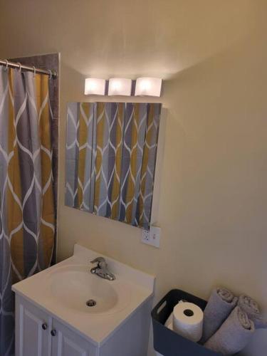 a bathroom with a sink and a mirror at Charming 3BD 2BTH Apartment in Chicago