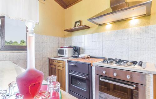 a kitchen with a stove and a stove top oven at Awesome Home In Meloni With Sauna in Karojba