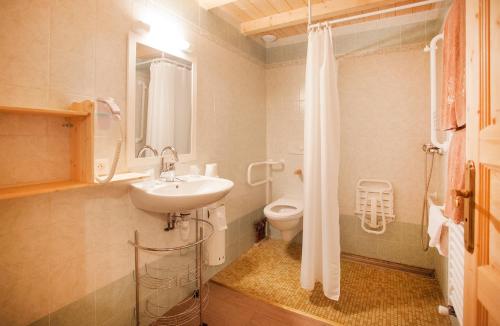 une salle de bain avec un lavabo et des toilettes dans l'établissement Hôtel La Vanoise, à Bessans