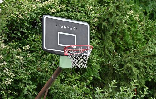 a basketball hoop with a net in front of a bush at 3 Bedroom Pet Friendly Home In Ludbreg in Ludbreg