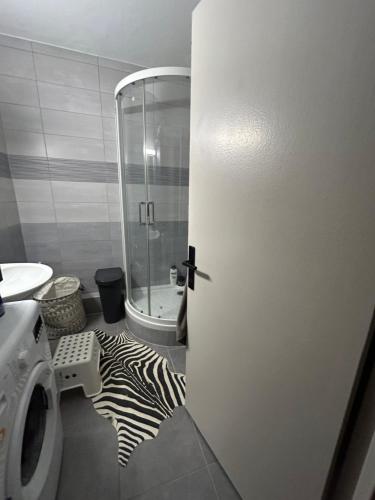- une salle de bains avec un tapis à motifs zébré au sol dans l'établissement Strasbourg Apartment with parking, à Strasbourg
