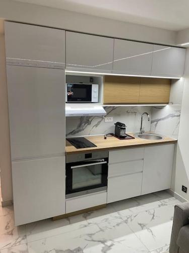 une cuisine blanche avec un évier et un micro-ondes dans l'établissement Magnifique appartement à Paris, à Paris