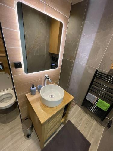 une salle de bain avec un lavabo et des toilettes dans l'établissement Magnifique appartement à Paris, à Paris