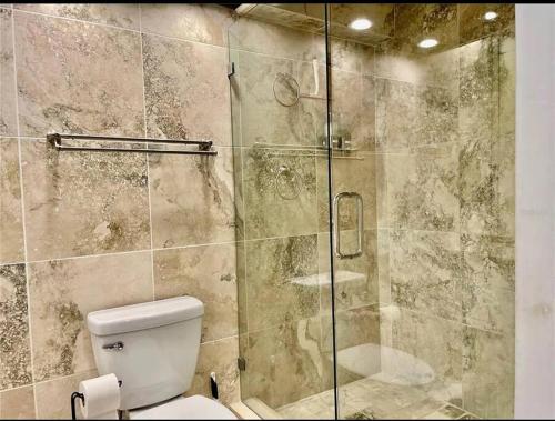 a bathroom with a toilet and a glass shower at Main River Retreat hot tub, canoe with trolling motor in Spring Hill
