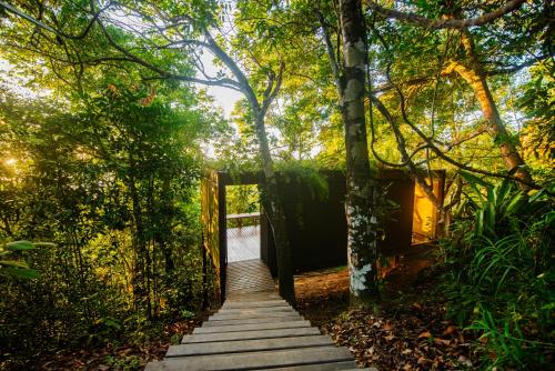 a wooden path through a forest with a gate at A Casinha da Floresta in Gamboa