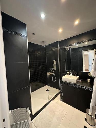 une salle de bain avec douche et lavabo dans l'établissement Appartement Victor Hugo, à Paris