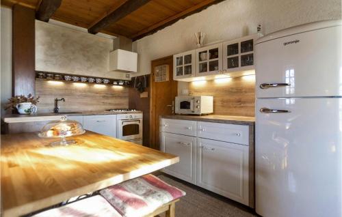 Il comprend une cuisine équipée d'un réfrigérateur blanc et d'une table en bois. dans l'établissement Villa Natural, à Žminj