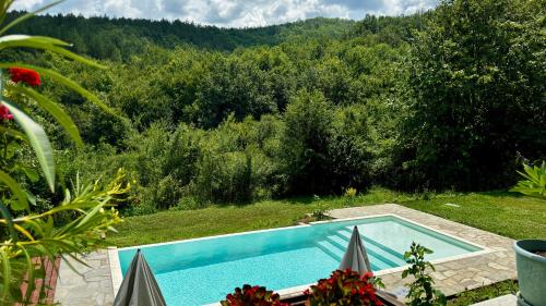 a swimming pool in the middle of a garden at Vista Verde in Oreshak