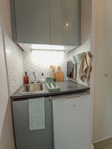 une petite cuisine avec un évier et un réfrigérateur dans l'établissement Studio 50m tram parking gratuit 13min gare, à Montpellier