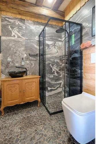 a bathroom with a shower and a toilet and a sink at Forest eco-house & spa in Dolenja Ravan