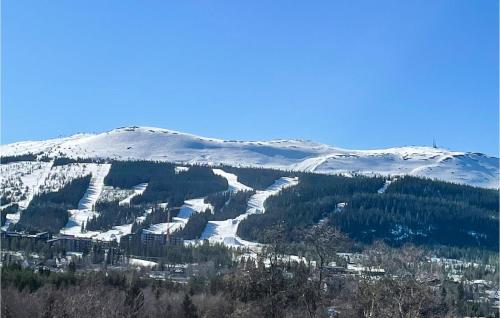 a snow covered mountain with trees and snow covered mountains at 1 Bedroom Amazing Apartment In Trysil in Trysil