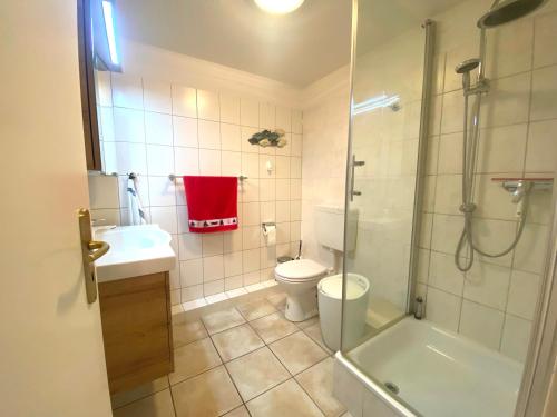 a bathroom with a shower and a toilet and a sink at Frische Brise in Schönberger Strand