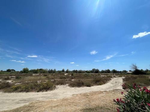 un chemin de terre au milieu d'un champ dans l'établissement Appartement cosy, à Saintes-Maries-de-la-Mer