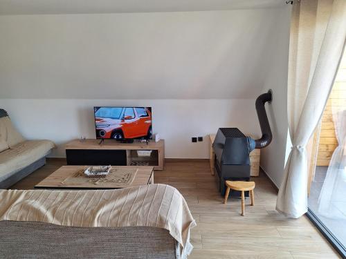 a living room with a bed and a tv at Planinska kuća Vesna in Sekulić 