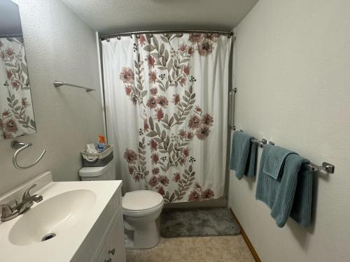 a bathroom with a shower with a toilet and a sink at 2br Executive Rental Downtown in Nome