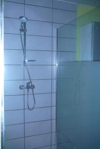 une douche avec pommeau de douche dans une salle de bain dans l'établissement Grand appartement avec terrasse, à Marlenheim