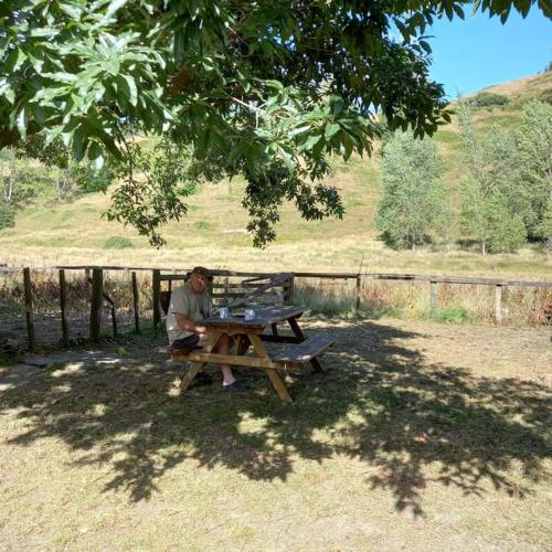 Ein Mann, der an einem Picknicktisch unter einem Baum sitzt. in der Unterkunft Rustic Woolshed in Owen River