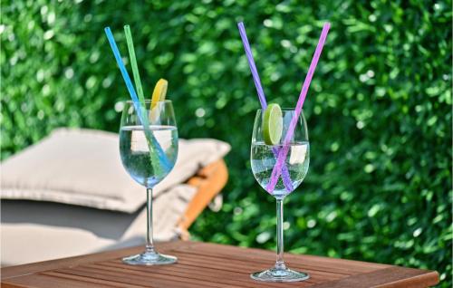 two wine glasses with colored straws sitting on a table at Pet Friendly Home In Vinica Breg in Gorušenjak