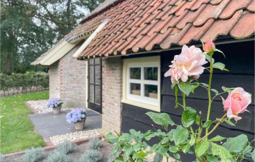 Κήπος έξω από το Gorgeous Home In Hellendoorn With Sauna