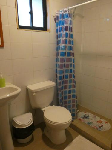 a bathroom with a toilet and a shower curtain at Cabaña en la naturaleza Futrono in Ranco