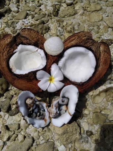 a piece of coconut with a flower on the ground at Pension Taputea in Te-Fare-Arii