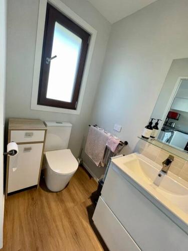 a bathroom with a toilet and a sink and a window at Stunning sea, city & mountain views, 2 bedroom home, free parking, in brand new condition in Christchurch